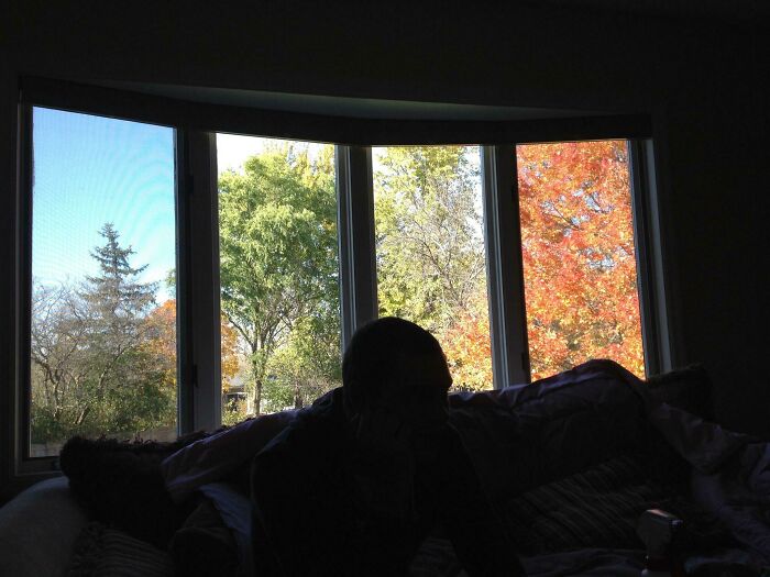 Silhouette of a person sitting on a couch near large windows showing autumn trees in alternate angles of history.