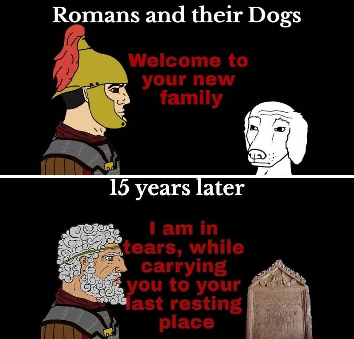Roman soldier and dog meme showing bond over 15 years, highlighting humor from history class memes entertaining fans.