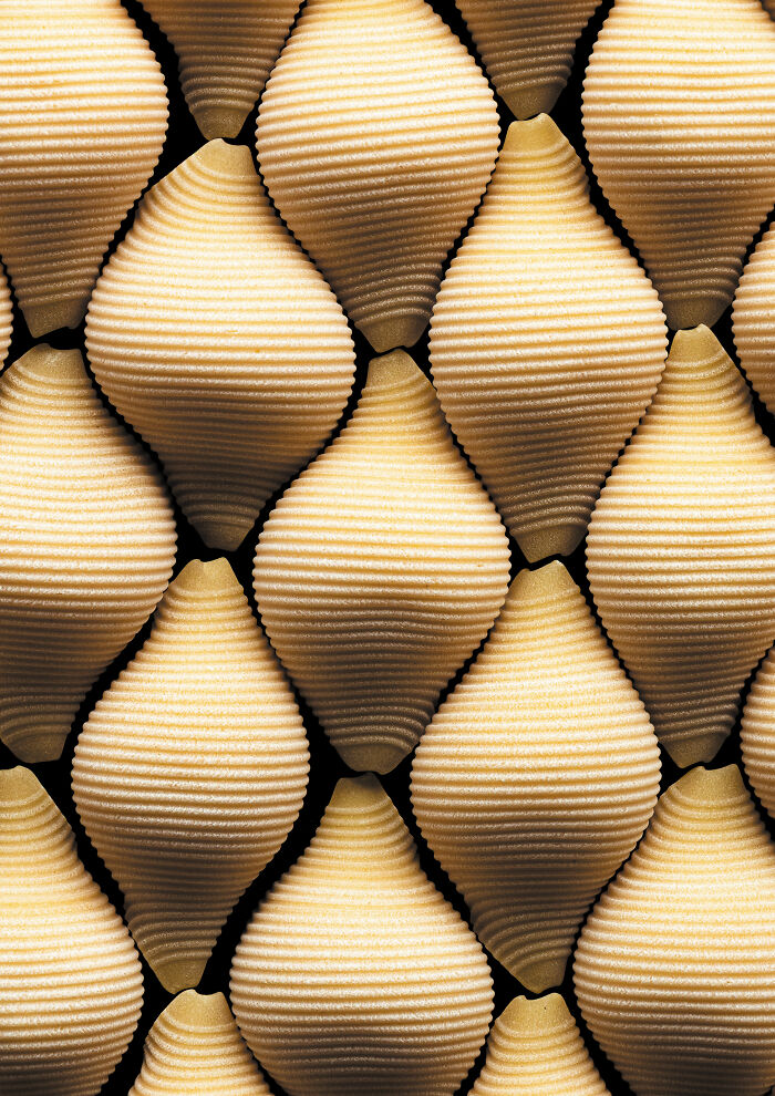 Close-up of intricately patterned pasta shells, showcasing a World Food Photography Awards 2025 nominee.
