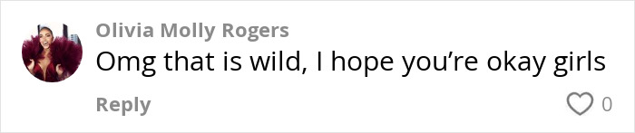 Comment expressing concern about influencers' scary experience with police during Coachella. Comment expressing concern about influencers' scary experience with police during Coachella.
