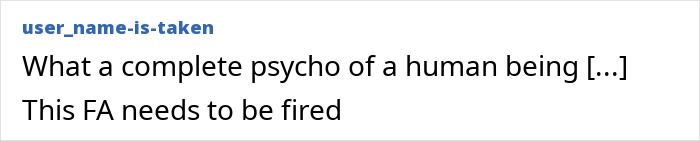 Online comment criticizing flight attendant's actions towards a disabled passenger. Online comment criticizing flight attendant's actions towards a disabled passenger.