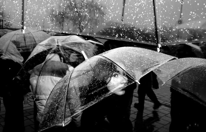 Black and white street photo of people walking with umbrellas in the rain, shared on popular Instagram page.