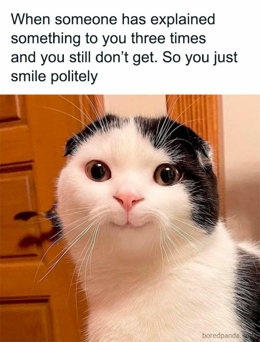 Confused cat meme with a polite smile, capturing the humorous feeling of not understanding a repeated explanation.