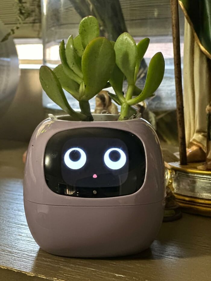Cute gadget planter with animated face display, perfect unique gift option for friends.