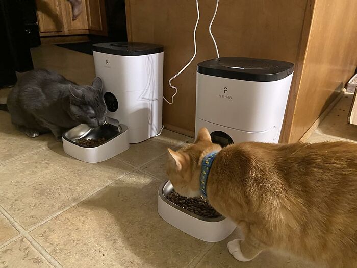 Cats eating from smart feeders on a kitchen floor, showcasing affordable smart home products.