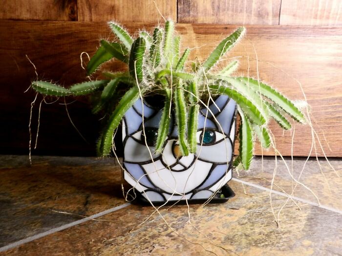 Decorative stained glass planter with cactus, adding personality to a generic apartment space.