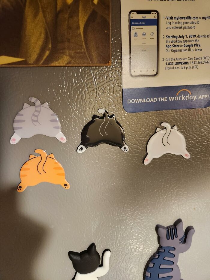 Cat magnets on a fridge, shaped like playful feline figures, adding fun to work supplies.