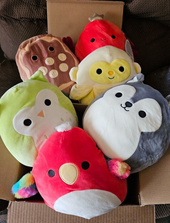 Box of colorful plush toys for millennials.