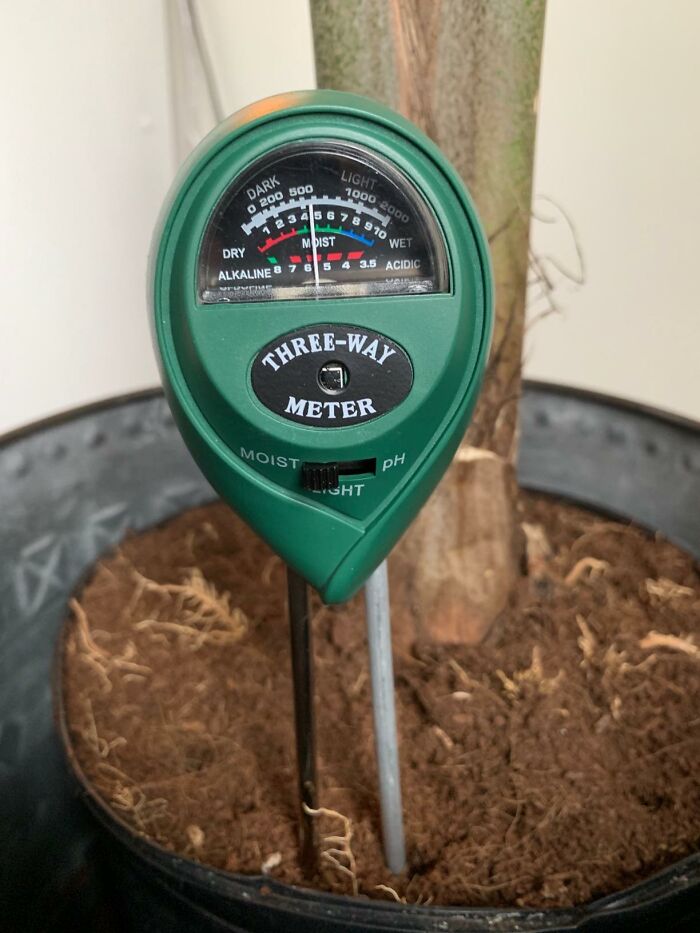 Three-way soil meter for gardening in a pot, measuring moisture, light, and pH levels.