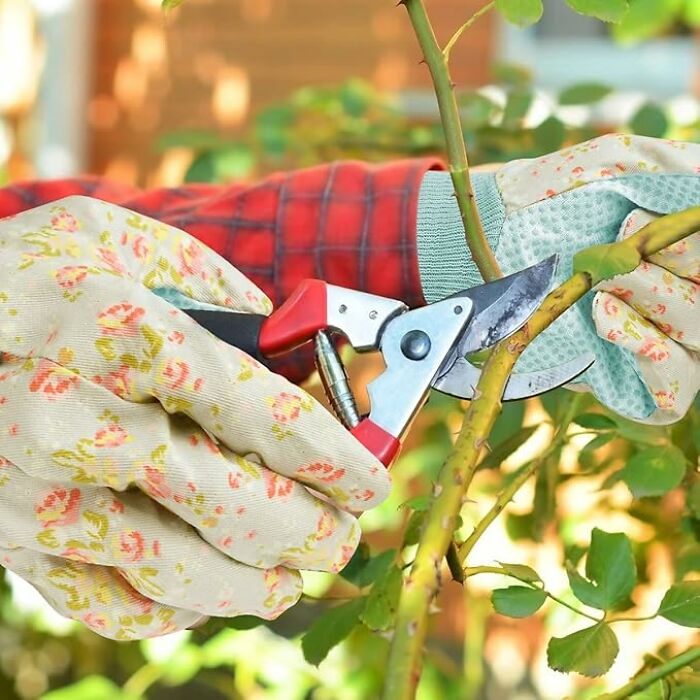 Gardening gloves and pruning shears trimming a rose stem as a thoughtful Mother's Day gift idea.