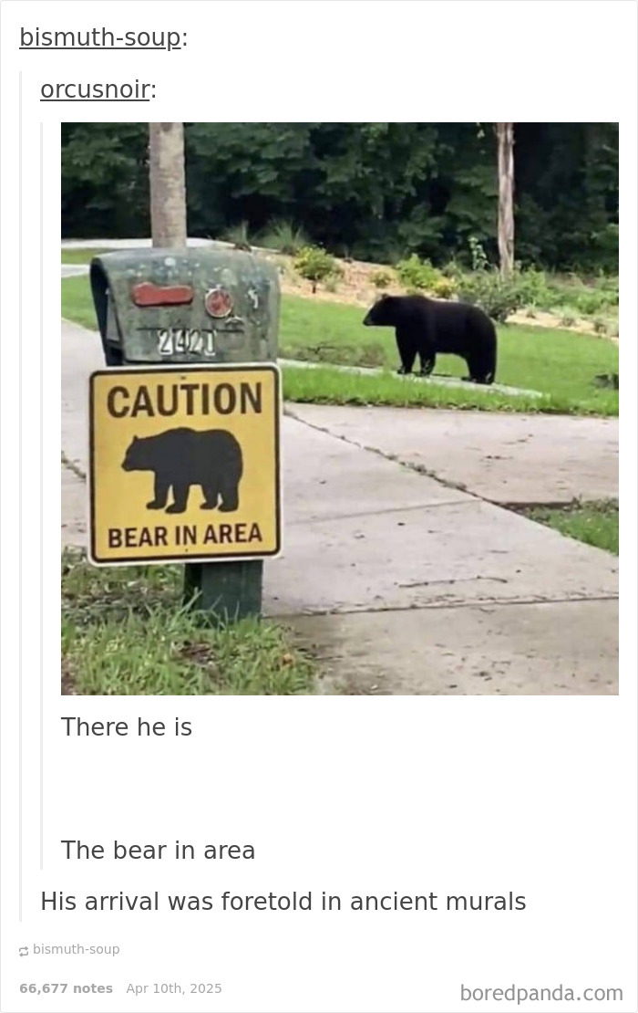Funny meme showing a "Caution Bear in Area" sign with a real bear nearby.