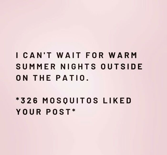 Funny meme text about warm summer nights outside on the patio with mosquitoes liking your post, humorous internet joke.