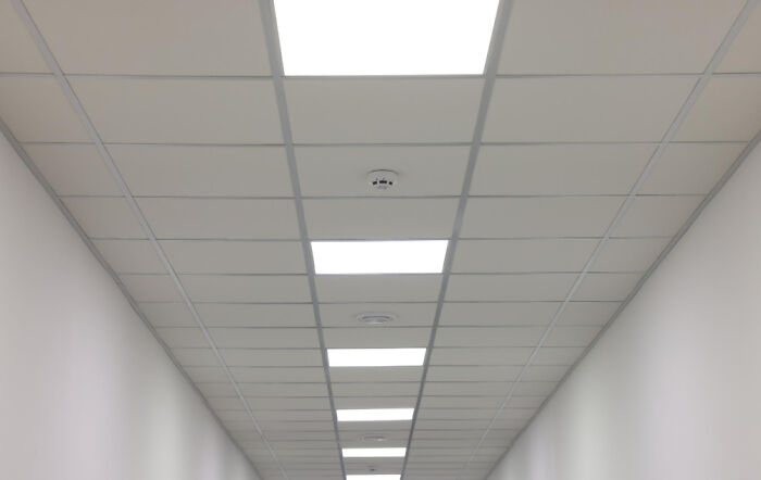 “Called Off Wedding”: 30 Absolutely Chaotic Office Dramas People Have Witnessed