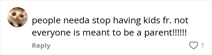 Text comment expressing frustration over parenting in response to a passenger incident on a flight.