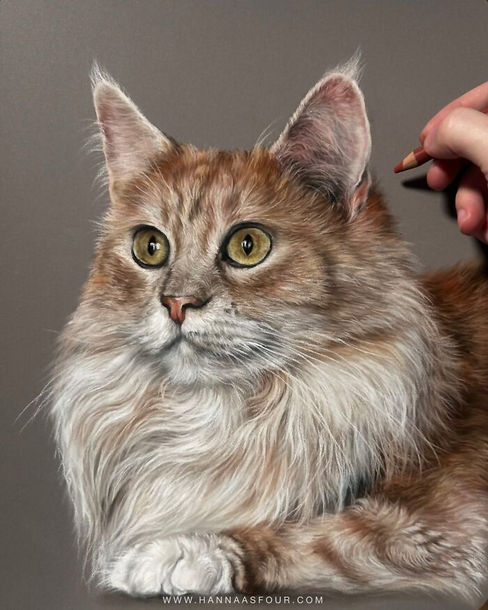 Hand drawing a realistic cat portrait with pencils, showcasing Hanna Asfour's pet artistry.