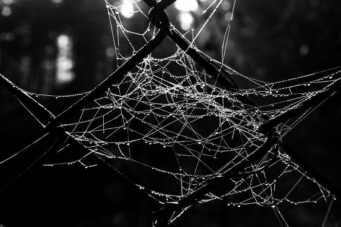 Gonna Get Myself Connected