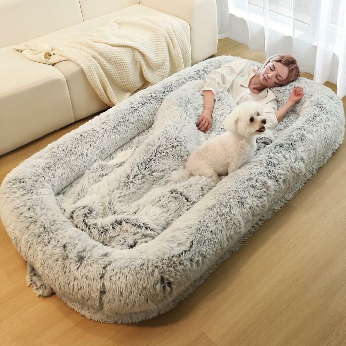 Woman and dog relaxing on a plush, trendsetting treasure bed in a cozy room.