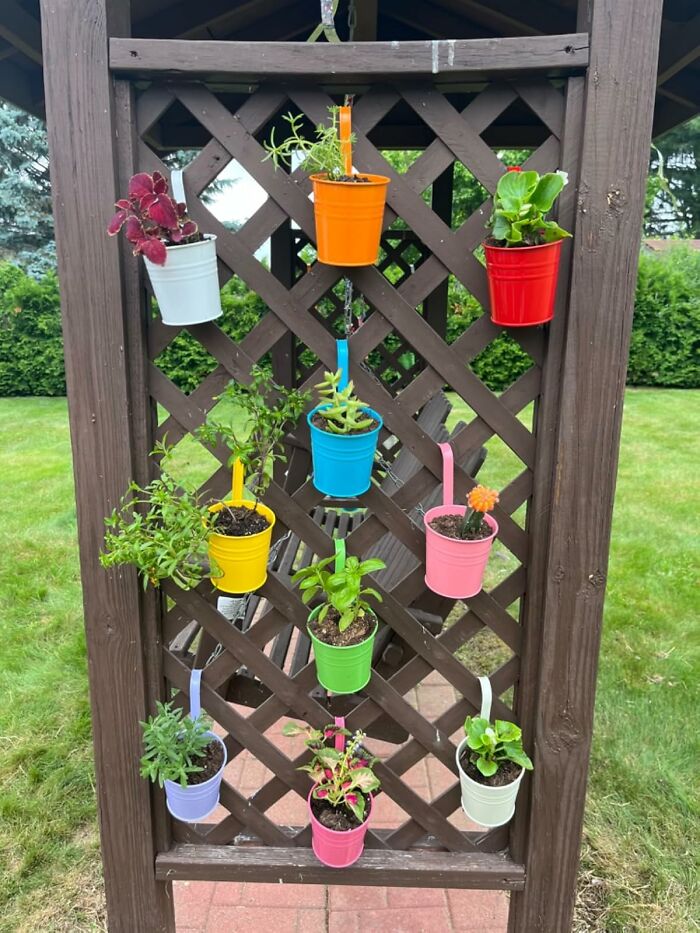 Colorful potted plants hanging on a wooden trellis, perfect for a benign neglect gardening approach.