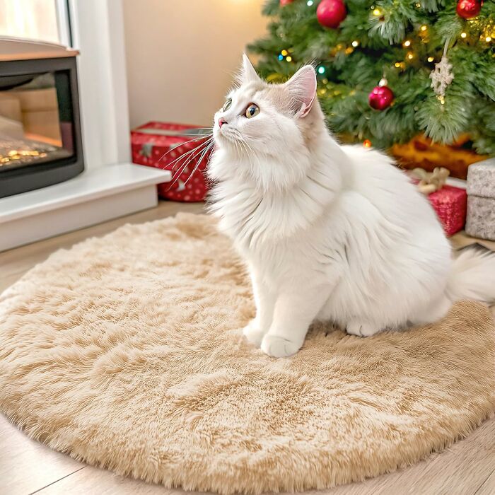 Fluffy white cat sitting on a plush rug near a Christmas tree and fireplace.