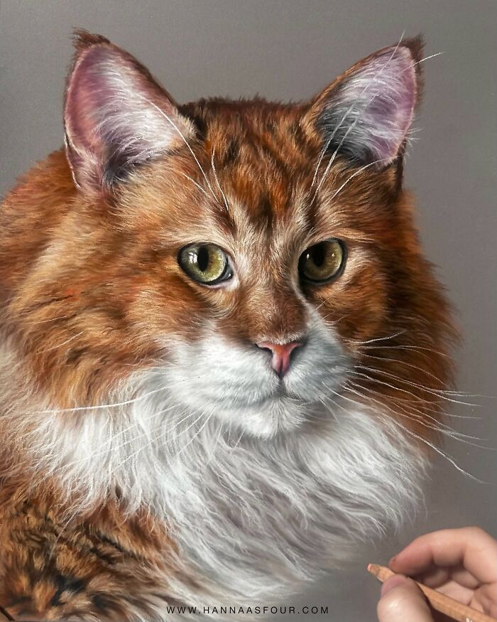 Realistic cat portrait drawn with pencils, showcasing detailed fur and lifelike features.