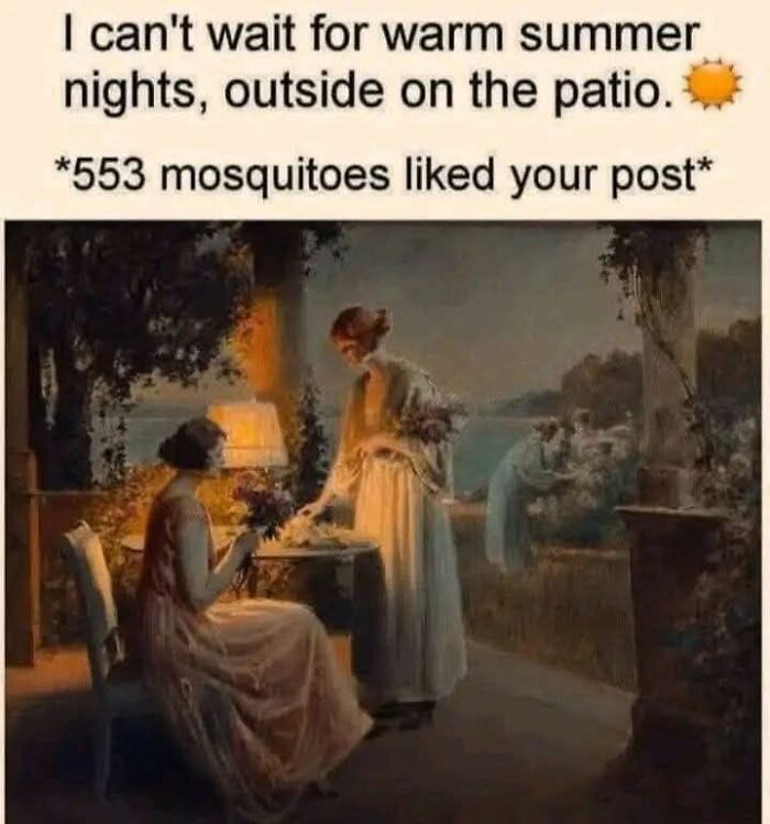 Classical art meme humor with two women on a patio at night, referencing mosquitoes liking a social media post.