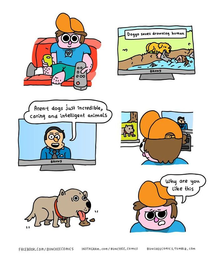 Cartoon of person watching TV about heroic dogs, then looking at a dog eating its mess, questioning why dogs are like this.