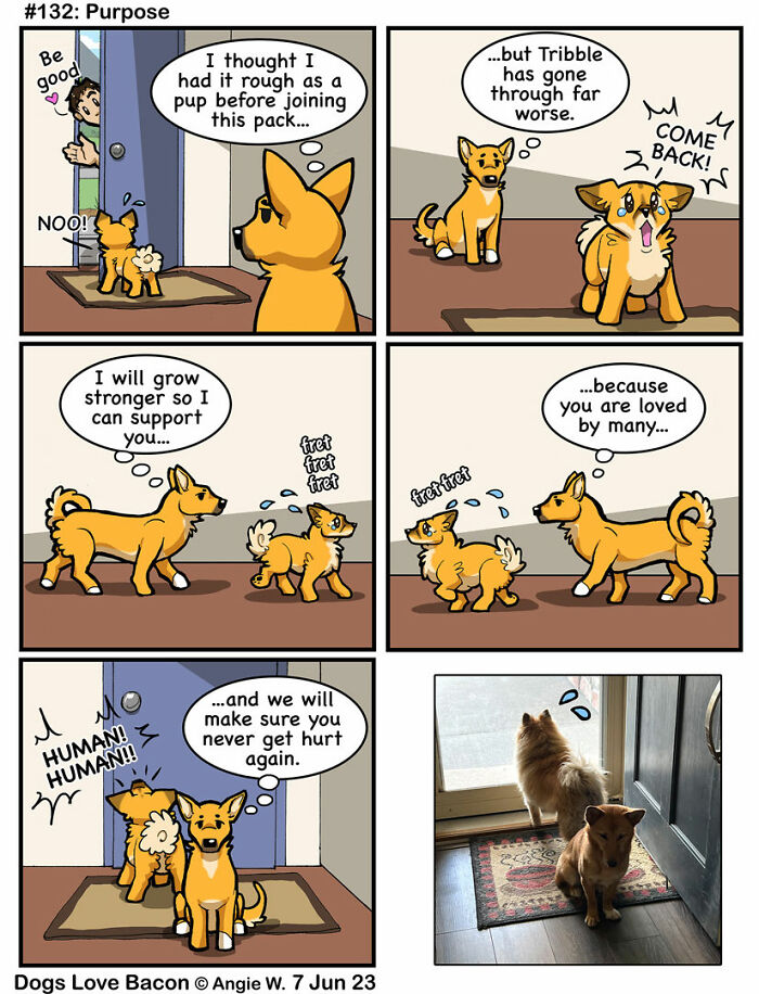 Comic panels showing two dogs comforting each other, illustrating themes of support and love in dog comics.