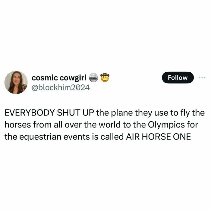 Tweet about a funny name for the plane transporting horses to the Olympics for equestrian events.