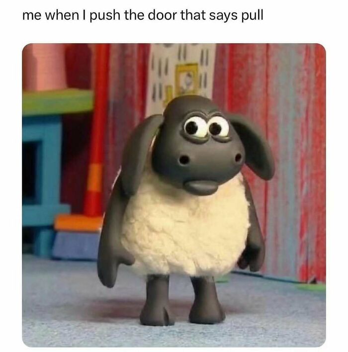 Clay sheep looking bewildered in a colorful room, capturing a painfully relatable meme moment.