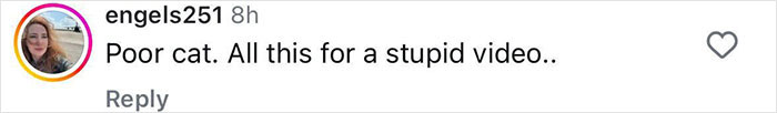 Comment criticizing perceived animal cruelty involving a cat in a video. Comment criticizing perceived animal cruelty involving a cat in a video.