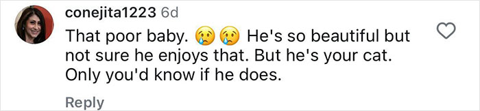 Comment on Jennifer Garner and cat video; user expresses concern over animal treatment. Comment on Jennifer Garner and cat video; user expresses concern over animal treatment.