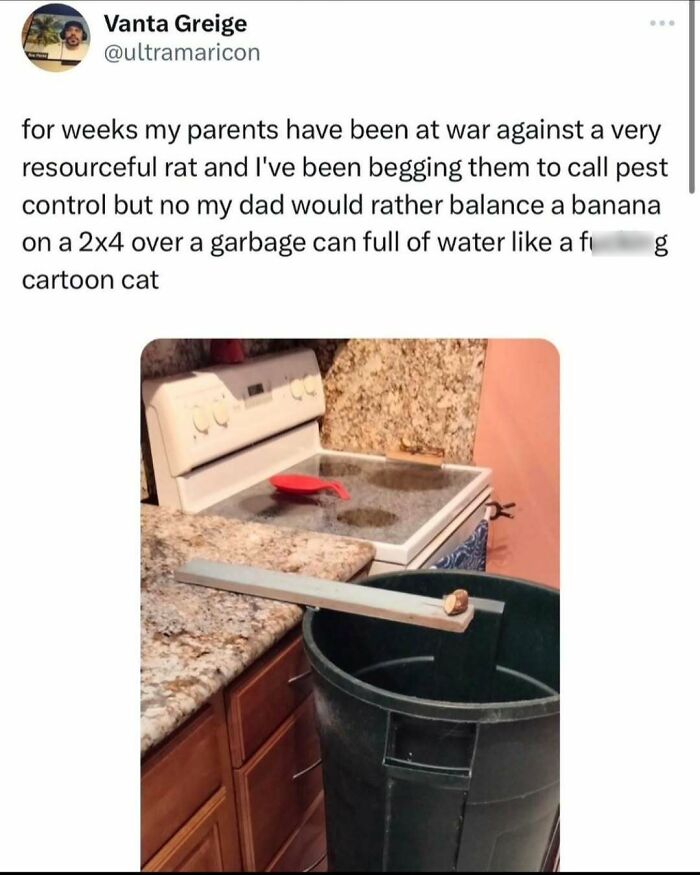 A funny meme shows a creative, makeshift rat trap with a banana on a plank over a garbage can.