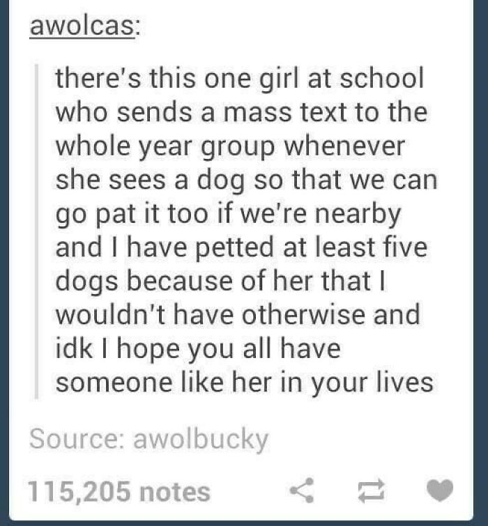 Text post about a girl who sends dog alerts, helping others pet dogs, featured in dog memes to help heal.