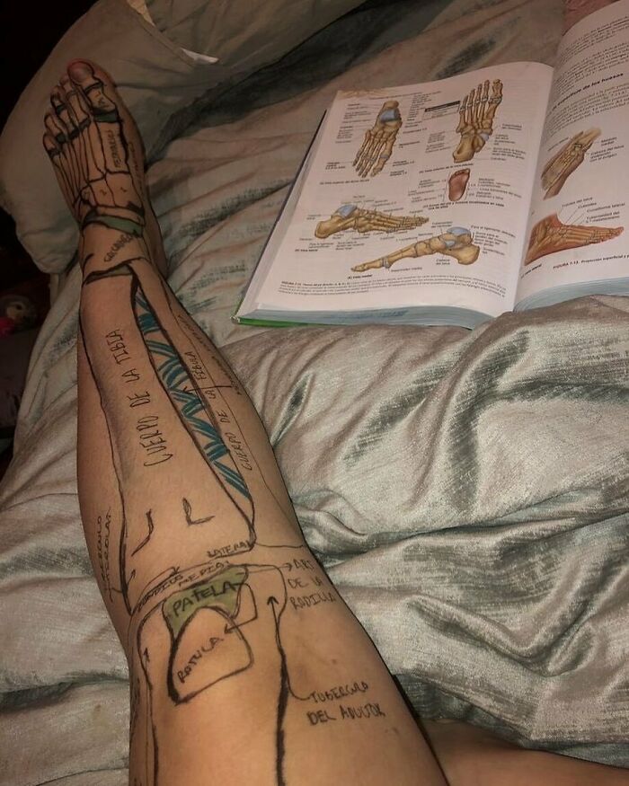 Human leg labeled with anatomical terms in marker, next to an open anatomy book. Medical school humor depicted.