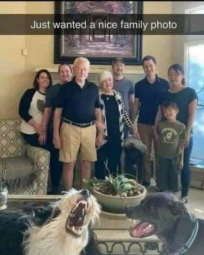 Family posing for a photo with two dogs in the foreground, capturing a moment of joy in dog memes to help heal.