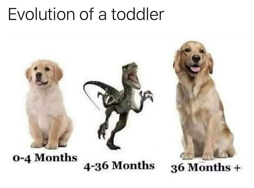 Dog and dinosaur meme humorously depicting the joy and madness of toddler evolution.