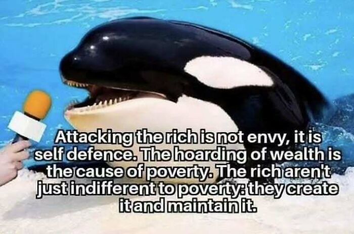 Orca being interviewed with a microphone, text discussing capitalism and wealth inequality.