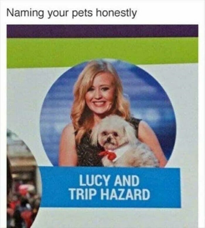Woman smiling while holding a small dog in a humorous dog meme about naming pets with dog memes helping heal.