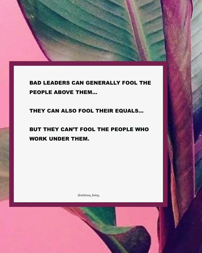 Text about bad leaders fooling people, set against colorful leaves, highlighting struggles in capitalism.