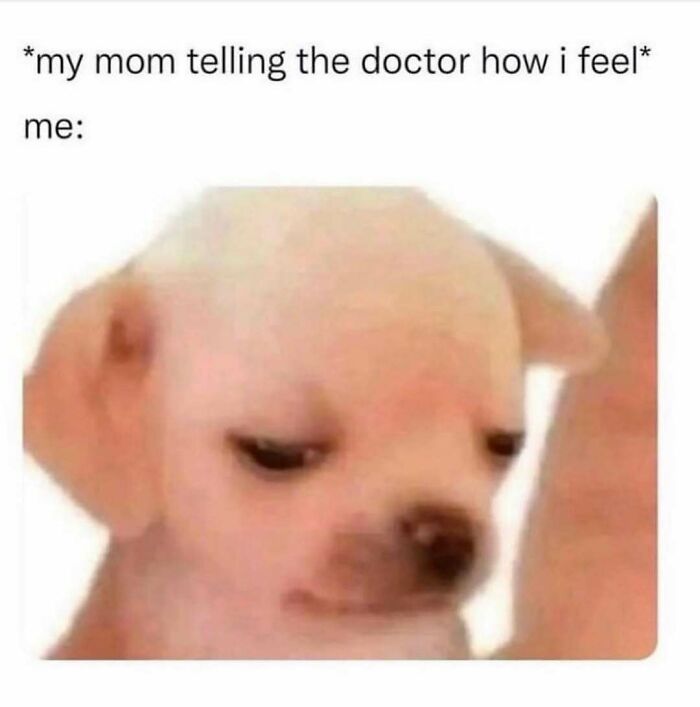 Sad puppy meme, capturing a painfully relatable moment of being misunderstood at the doctor’s office.