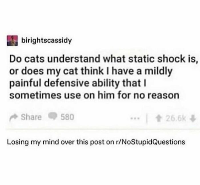 Text meme about cats and static shock, questioning if cats think it's a defensive ability.