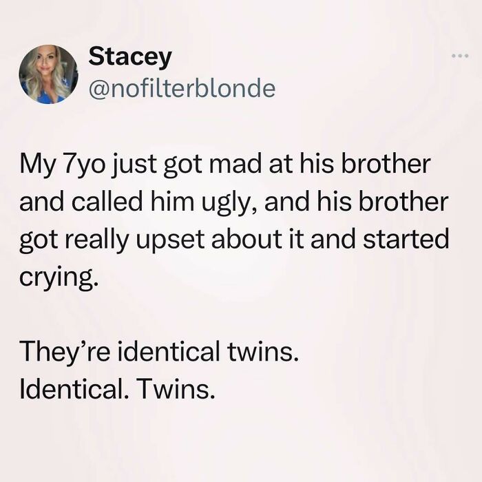 Tweet about a 7-year-old calling his identical twin brother ugly, causing him to cry.