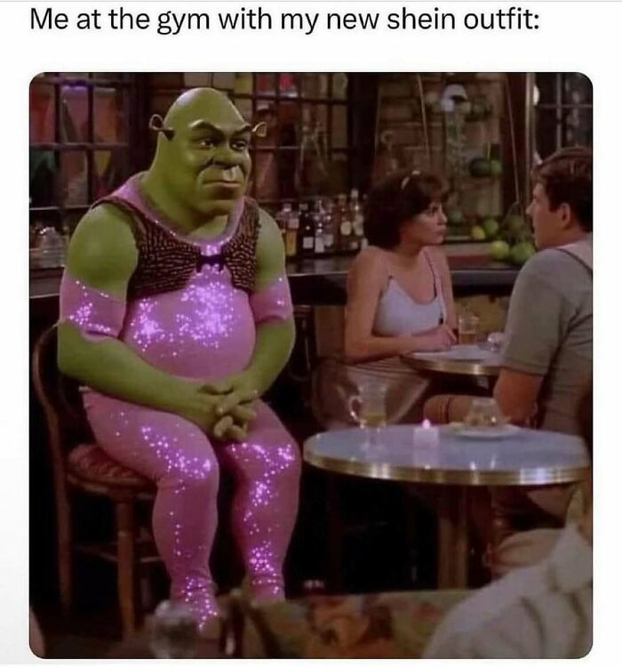 Shrek dressed humorously in a sparkly outfit at a bar, capturing a relatable meme moment.