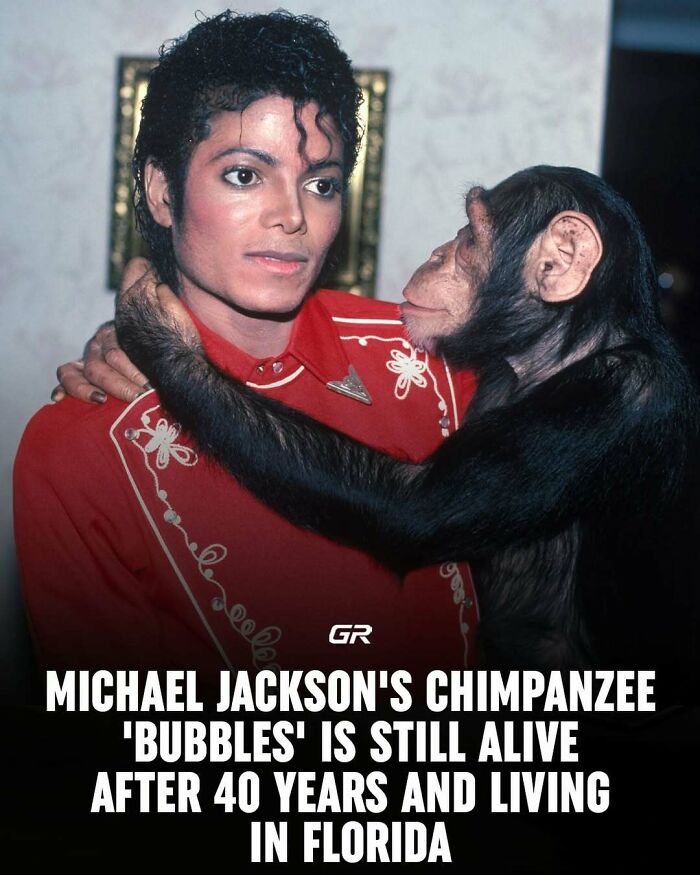Person in red jacket with a chimpanzee, symbolizing interesting facts about celebrity pets.