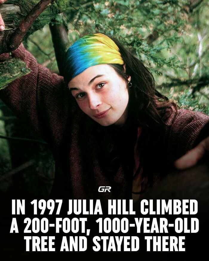 Young woman with a colorful headscarf in a tree, highlighting an interesting fact about her 1997 tree protest.