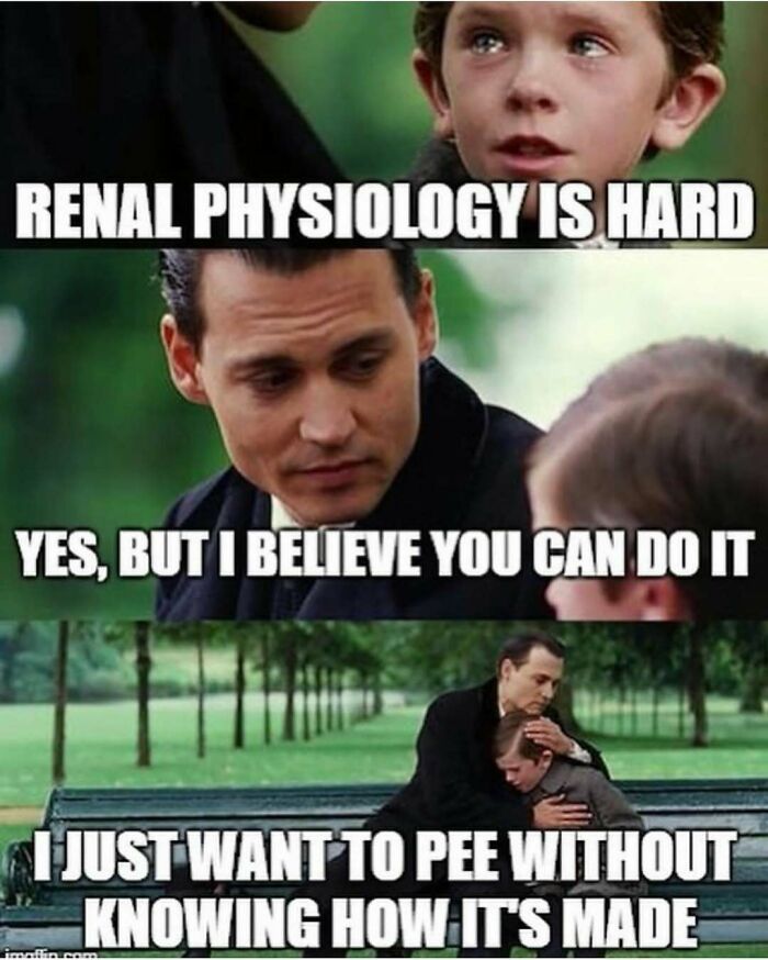 Child and adult discussing difficulty of renal physiology in medical school meme format.