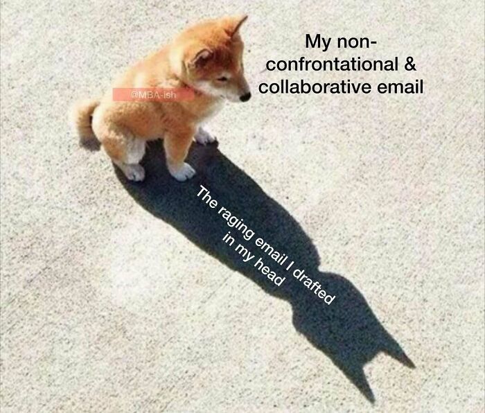 Cute dog with a bat shadow symbolizes relatable work meme, contrasting email drafts in thoughts versus reality.