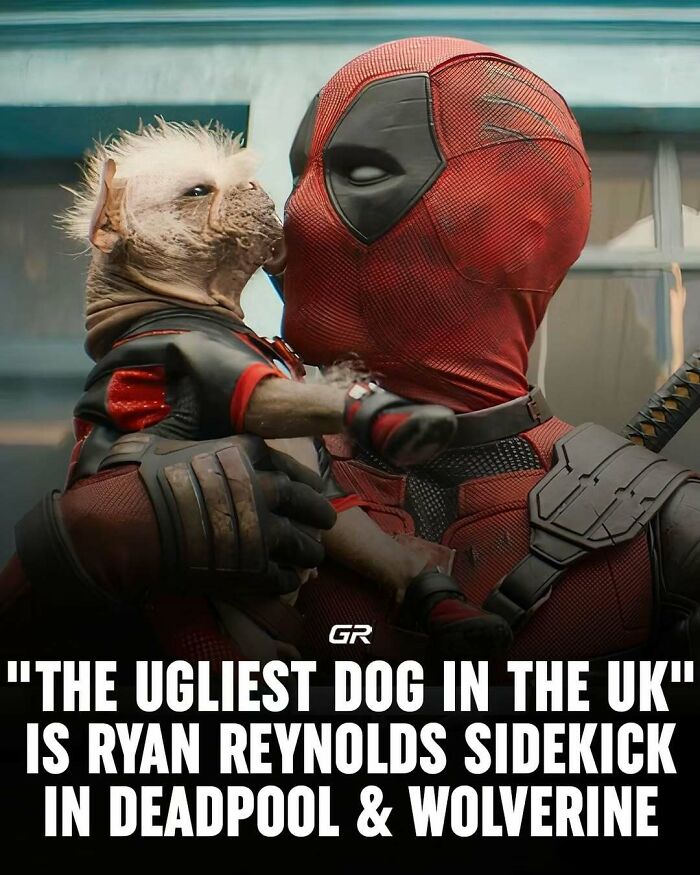 Deadpool holding an unusual-looking dog in a suit, featured as a sidekick in the movies.