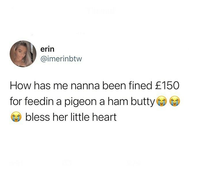 Funny meme about British grandma fined £150 for feeding a pigeon a ham sandwich.