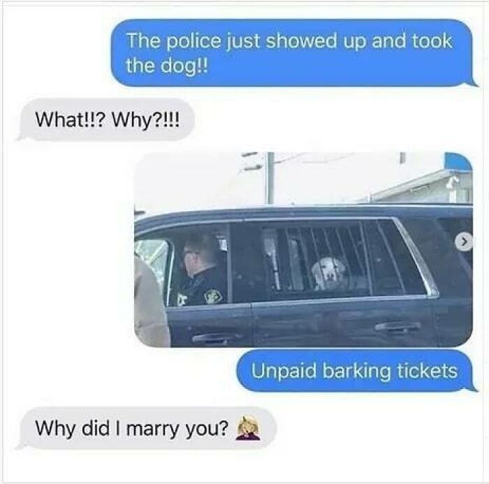 Text message conversation with a police car holding a dog, featuring a joke about unpaid barking tickets and dog memes.